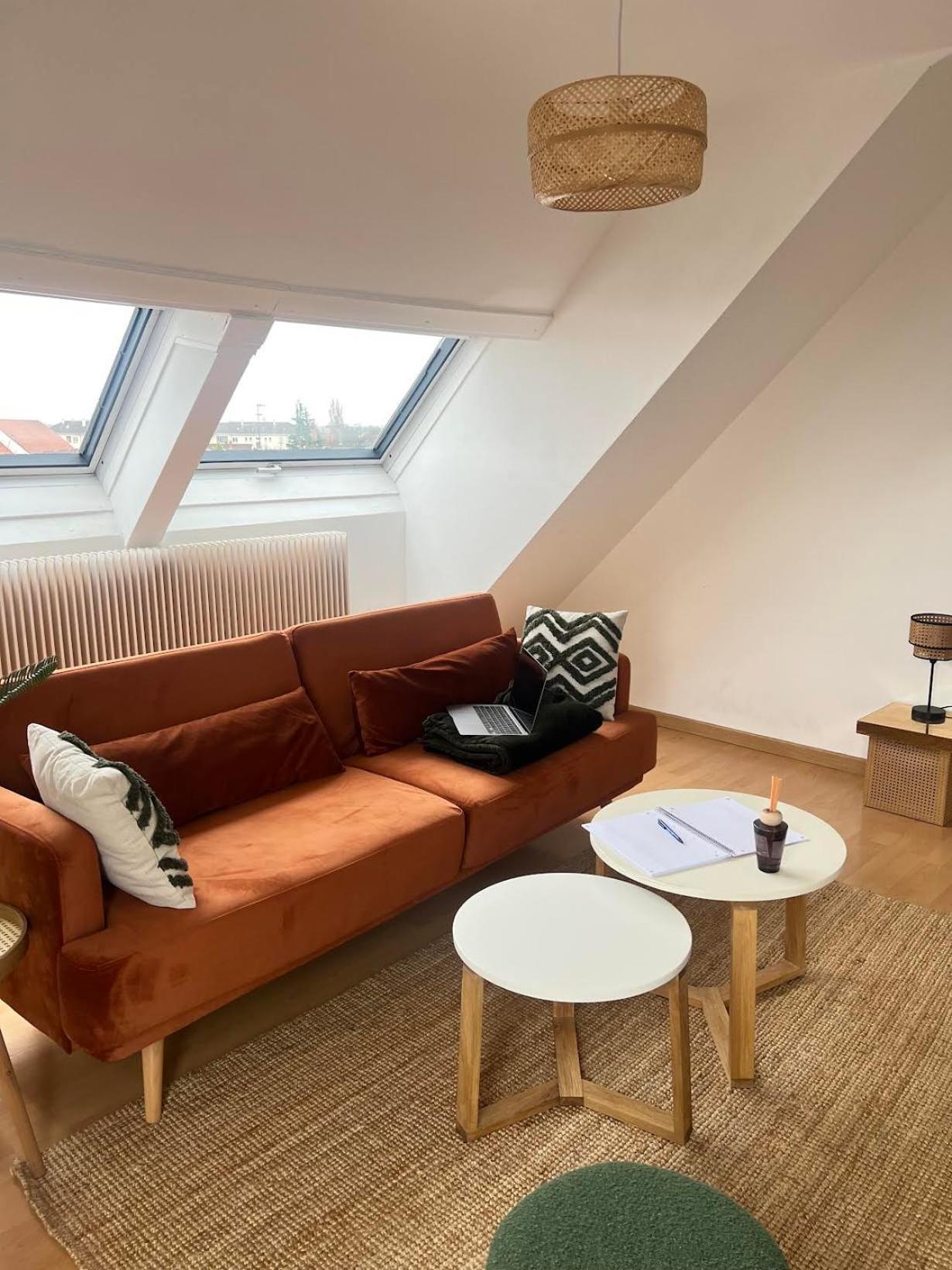 Balneo, Lumineux, Confort Colmar Exterior foto